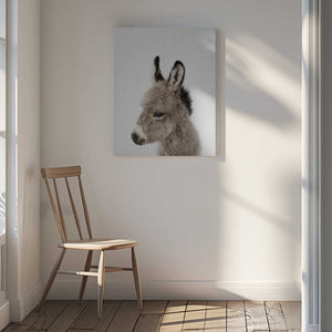 Tablou canvas „Peekaboo Baby Donkey” de Lola Peacock