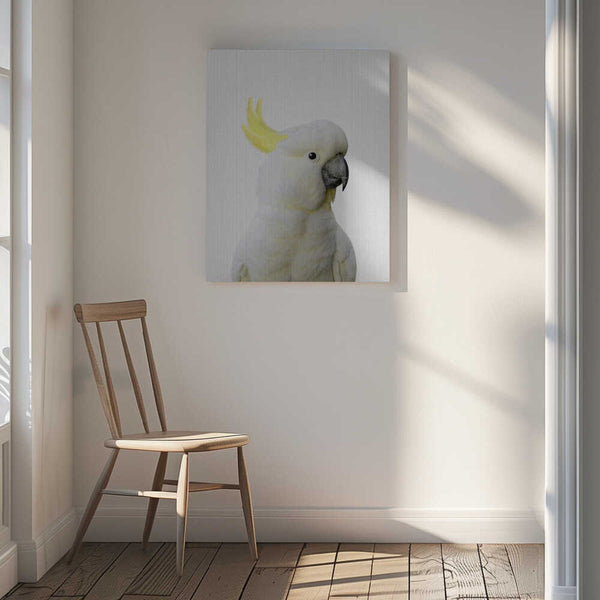 Tablou canvas „Peekaboo Cockatoo” de Lola Peacock