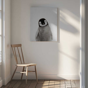Tablou canvas „Peekaboo Baby Penguin” de Lola Peacock