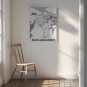 Tablou canvas „Paramaribo White” de StudioSix
