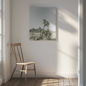 Tablou canvas „Joshua Tree National Park Vintage Impression” de Melanie Viola