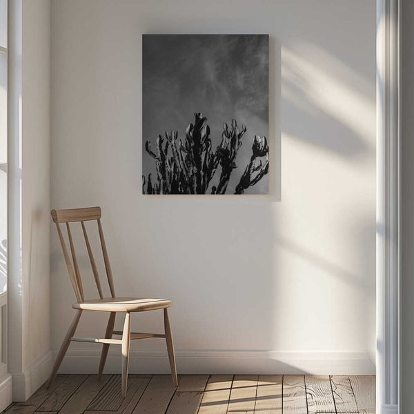 Tablou canvas „Monochrome Cactus Sky” de Bethany Young