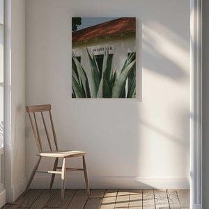 Tablou canvas „Desert Veil” de Bethany Young