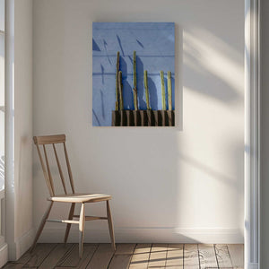 Tablou canvas „Tall Cacti | Oaxaca Mexico travel photography” de Raisa Zwart
