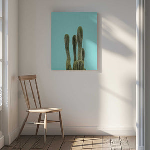 Tablou canvas „Turquoise Cactus” de Lila &amp; Lola
