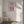 Tablou canvas „Cool it Cowboy Pink” de Tara Royle
