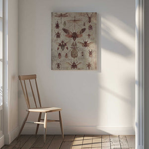 Tablou canvas „Vintage-style  Insects” de Mike Koubou