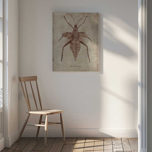 Tablou canvas „Vintage Insect Illustration” de Mike Koubou
