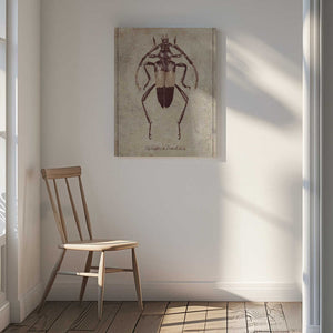 Tablou canvas „Vintage Insect Sketch” de Mike Koubou