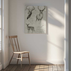 Tablou canvas „Anatomical Drawings Of Deer” de Mike Koubou