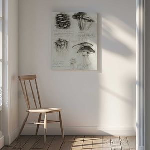 Tablou canvas „Various Botanical Mushrooms” de Mike Koubou