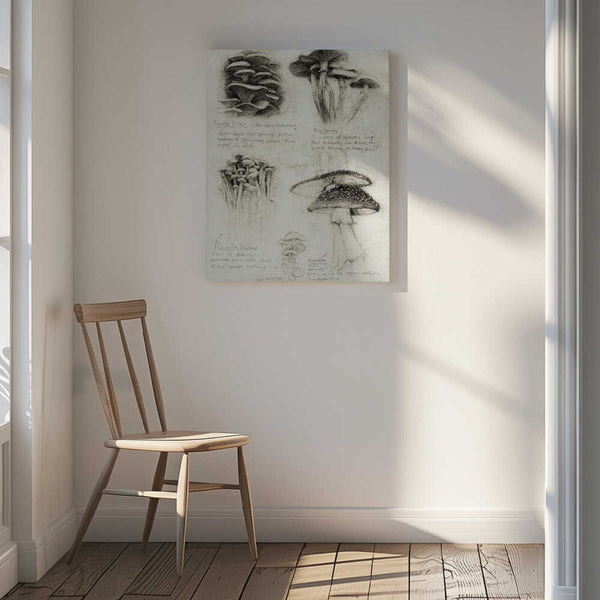 Tablou canvas „Various Botanical Mushrooms” de Mike Koubou