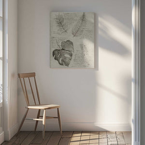 Tablou canvas „Pencil Sketches Of Various Plant Leaves” de Mike Koubou