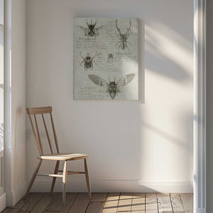Tablou canvas „Sketches Of Beetles And Insects” de Mike Koubou