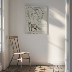 Tablou canvas „Fox Anatomy Illustration” de Mike Koubou