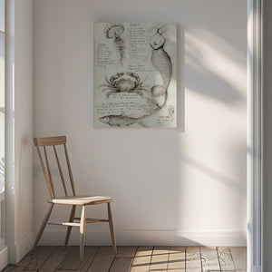 Tablou canvas „Mythical And Marine Creatures” de Mike Koubou