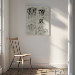 Tablou canvas „Bones of the Core Skull &amp; Ribcage Studies” de Mike Koubou