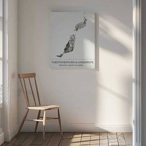 Tablou canvas „Fuerteventura &amp; Lanzarote, Spanish Canary Islands Map” de Nicholas