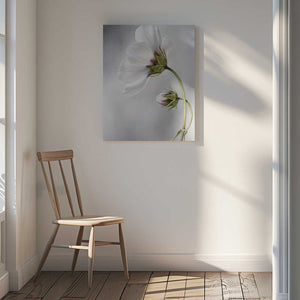 Tablou canvas „Heavenly Cosmos” de Mandy Disher