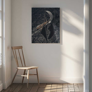 Tablou canvas „Shadows &amp; Lights” de Marc Pelissier