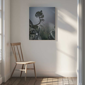 Tablou canvas „Against the Odds” de Andreas Wonisch