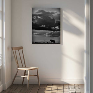 Tablou canvas „He walks under an African Sky” de WildPhotoArt