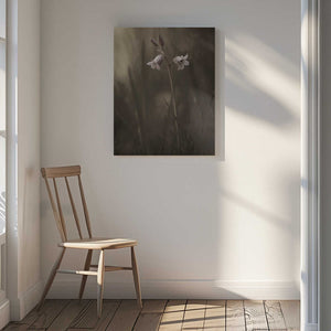 Tablou canvas „A small flower on the ground” de Allan Wallberg