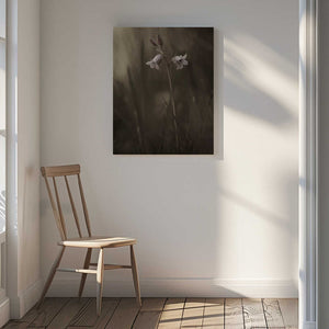 Tablou canvas „A small flower on the ground” de Allan Wallberg