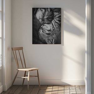 Tablou canvas „Yin and Yang” de Andrea Jancova
