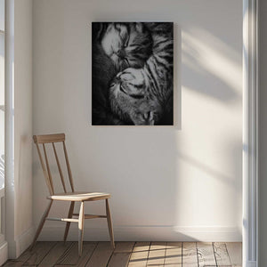Tablou canvas „Yin and Yang” de Andrea Jancova