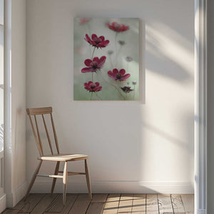 Tablou canvas „Cosmos sway” de Mandy Disher