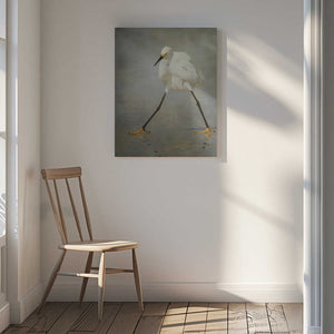 Tablou canvas „The Rock Star” de Alfred Forns