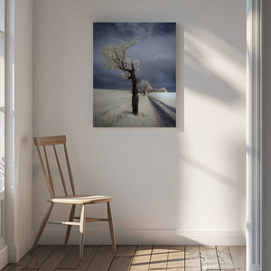 Tablou canvas „IRenka” de Piotr Krol (Bax)
