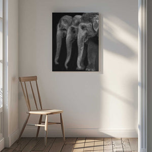 Tablou canvas „Nature\'s great masterpiece, an elephant; the only harmless great thing ...” de Yvette Depaepe