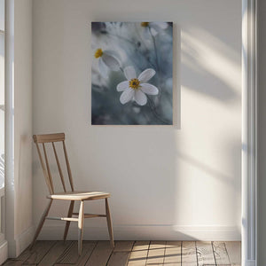 Tablou canvas „Cosmos” de Mandy Disher