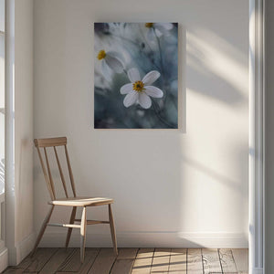 Tablou canvas „Cosmos” de Mandy Disher