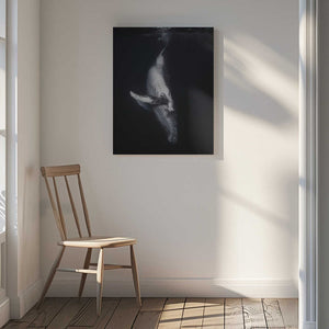 Tablou canvas „Black Whale” de Barathieu Gabriel