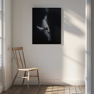 Tablou canvas „Black Whale” de Barathieu Gabriel