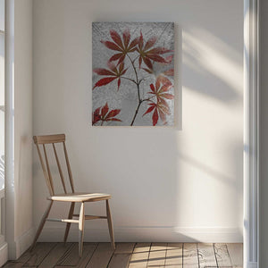 Tablou canvas „red maple” de Secundino Losada