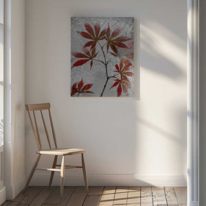 Tablou canvas „red maple” de Secundino Losada