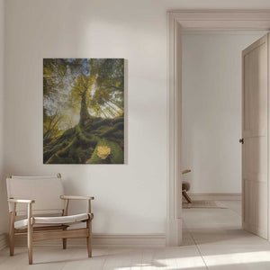 Tablou canvas „The goodbye of a leaf” de Alberto Ghizzi Panizza