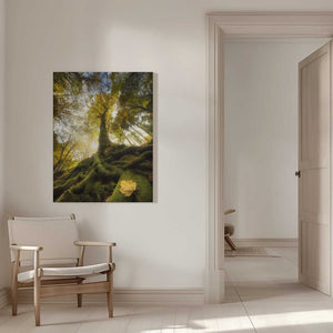 Tablou canvas „The goodbye of a leaf” de Alberto Ghizzi Panizza