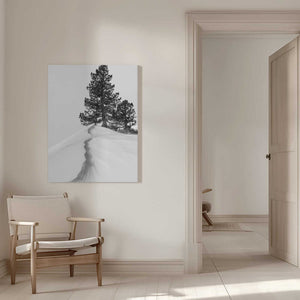 Tablou canvas „About the snow and forms” de Rodrigo Núñez Buj