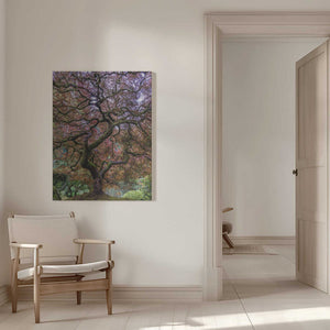 Tablou canvas „Japanese Maple Tree” de Mike Centioli