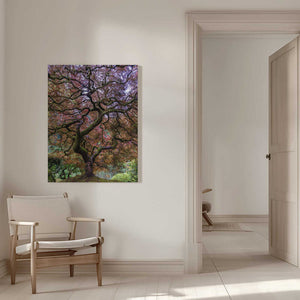 Tablou canvas „Japanese Maple Tree” de Mike Centioli