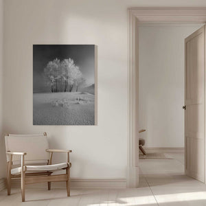 Tablou canvas „The first snow” de Krzysztof Mierzejewski