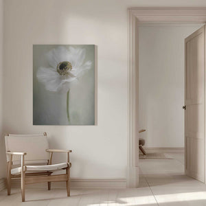 Tablou canvas „Single White” de Jacky Parker