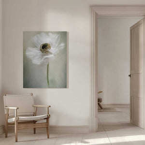 Tablou canvas „Single White” de Jacky Parker
