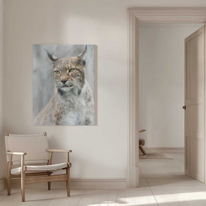 Tablou canvas „Lynx portrait in the fog” de Santiago Pascual Buye