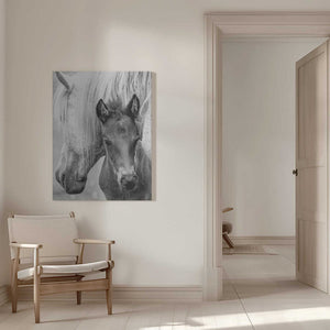 Tablou canvas „The Foal” de Jacky Parker